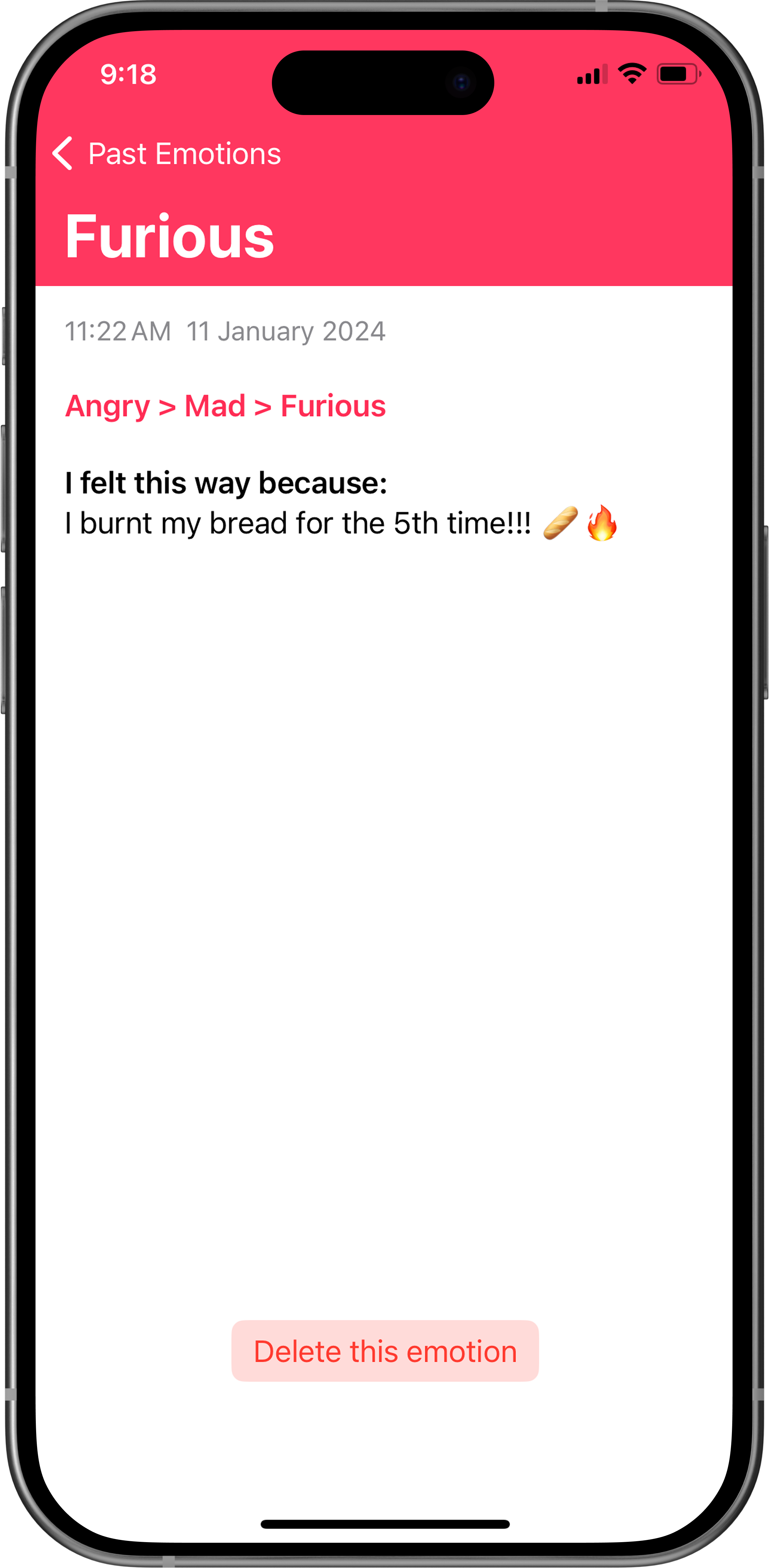 Feature 1: List of previously recorded emotions